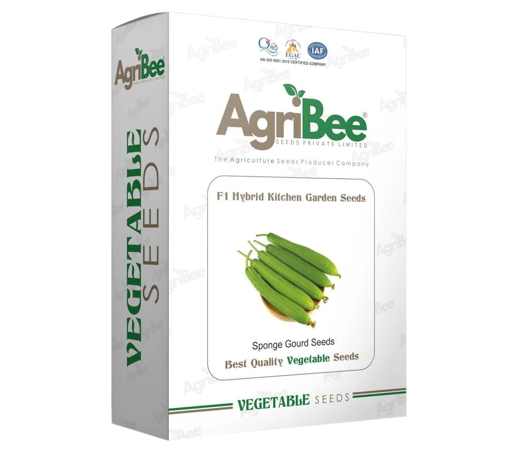 AgriBee F1 Hybrid Sponge Gourd Seeds Pack Of 10 Pouches For Kitchen Garden (5gm x 10) - Image 1