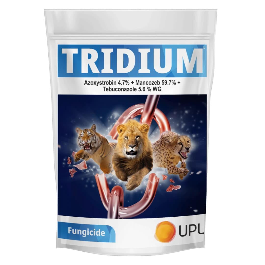 UPL TRIDIUM Azoxystrobin 4.7% + Mancozeb 59.7% + Tebuconazole 5.6% WG Gives Excellent Control of all Major Fungi Classes - Image 1