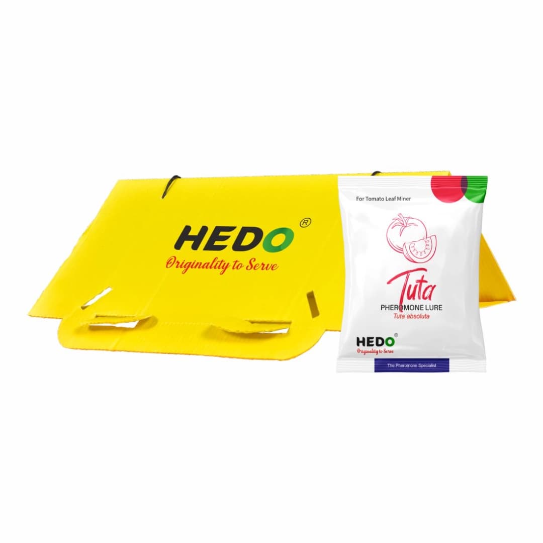 HEDO Tuta Pheromone Lure With Delta Trap (Tuta Absoluta) To Control Leaf Miner In Tomato, Cherry Tomato And Potato