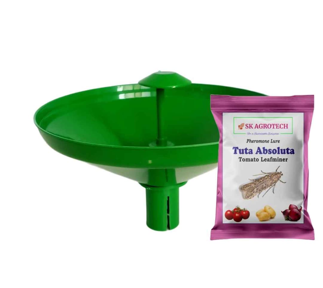 SK Agrotech Tuta Absoluta Tomato Leafminer Pheromone Trap With Lure - Effective Pest Control For Tomatoes - Image 12