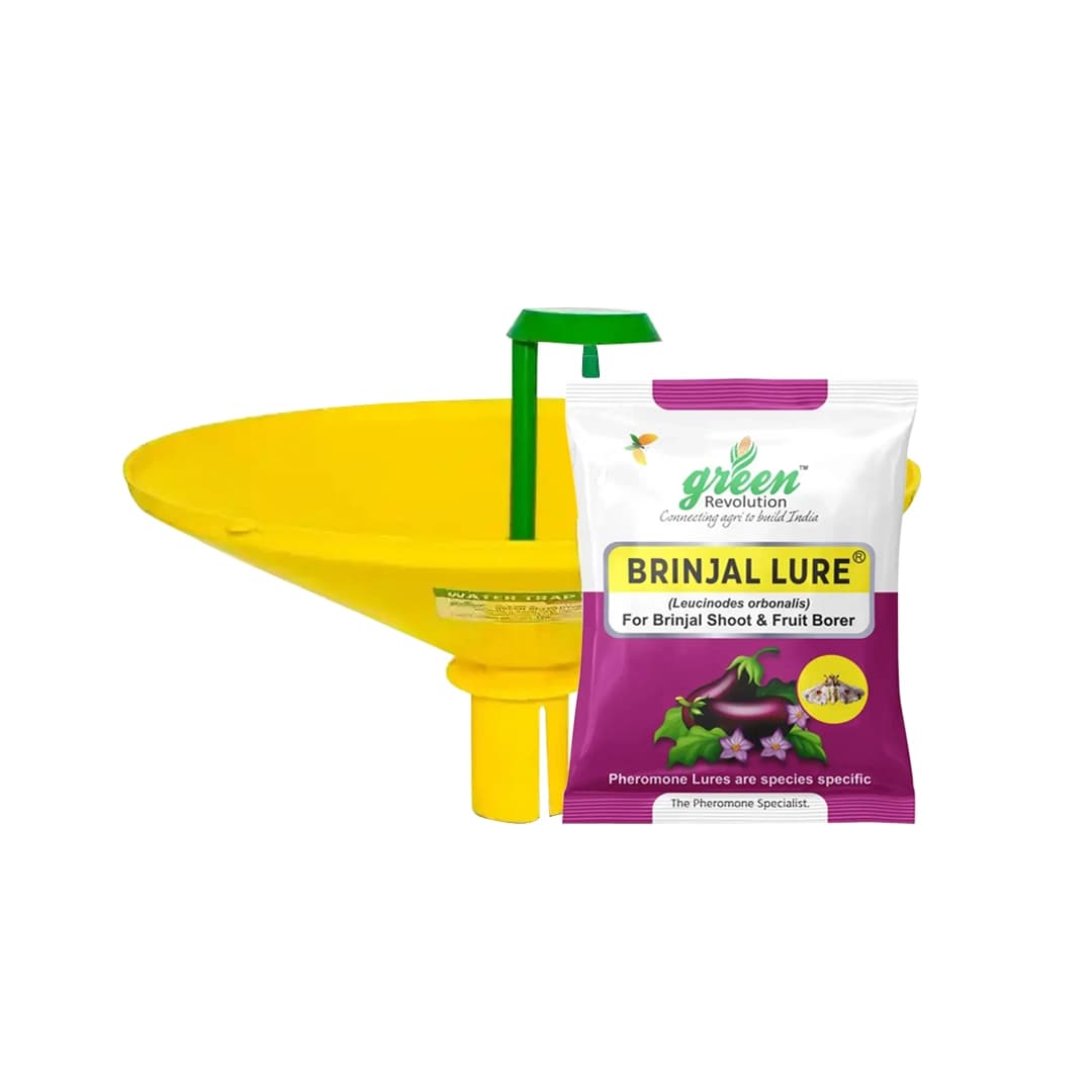 Green Revolution Brinjal Lure - Pheromone Trap For Brinjal - Image 1