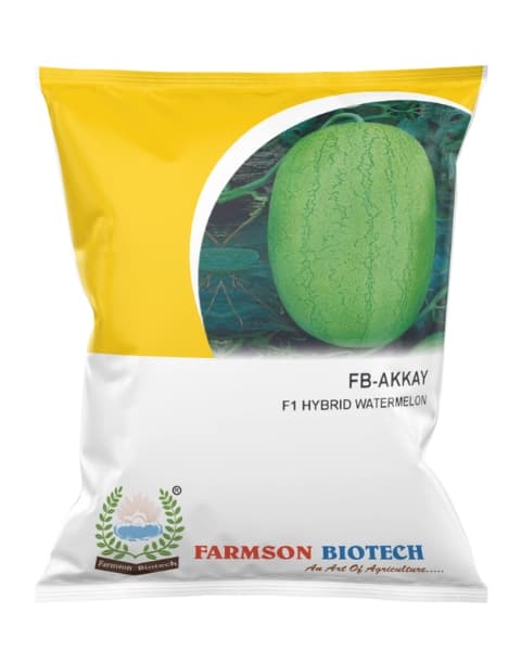 Farmson FB Akkay F1 Hybrid Watermelon Seeds, Early Maturing Charleston Type, Light Green Rind