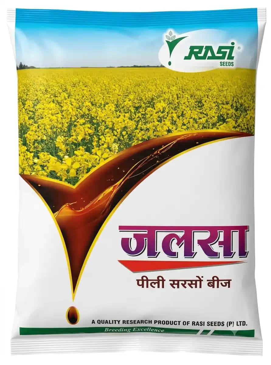 Rasi Jalsa Yellow Mustard Seed (Sarso Beej) - Image 1
