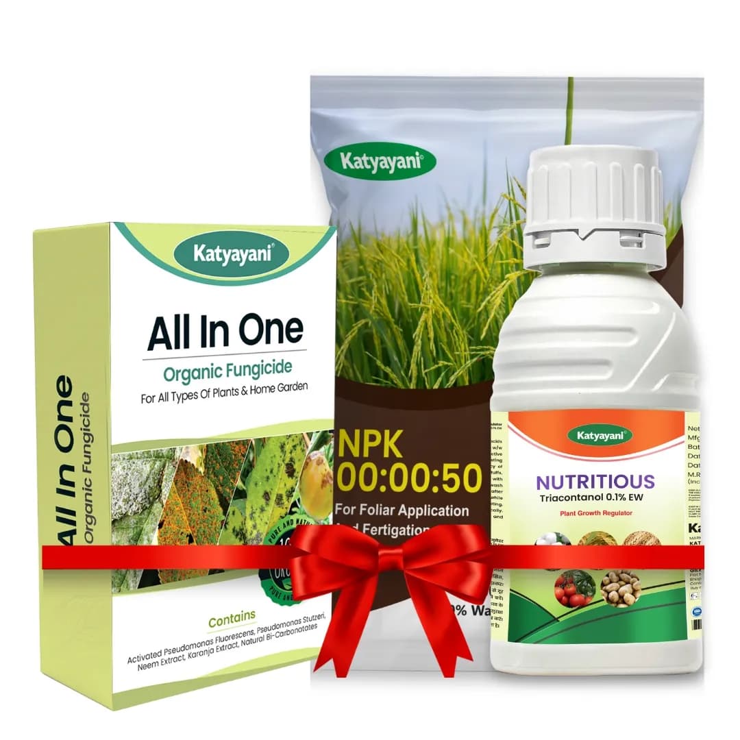 Katyayani Mango Fruit Size Enhancer Pro Combo, Maximize Size, Yield & Quality (All In One Fungicide 400gm, Nutritious 500ml, Npk 00:00:50 1kg) - Image 1