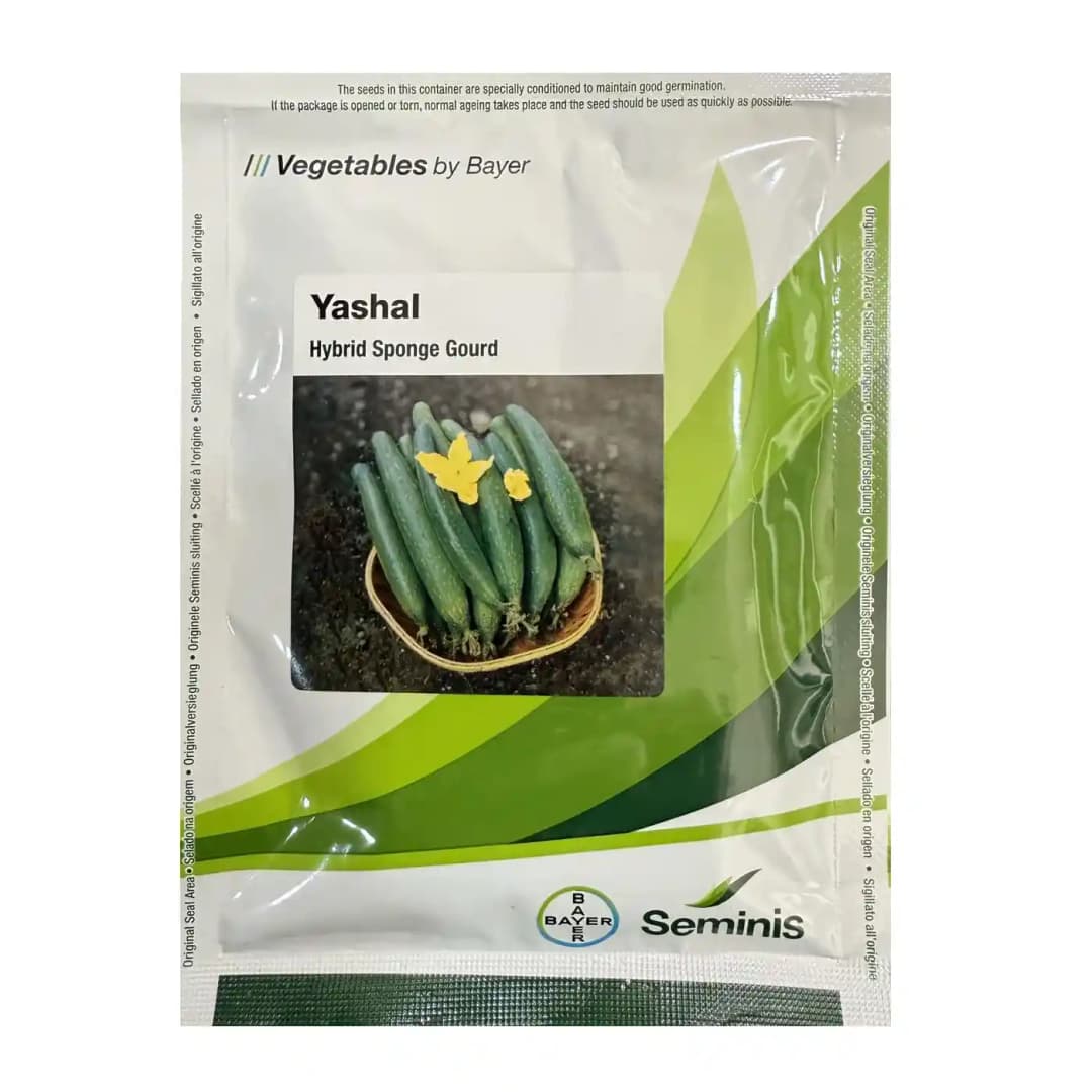 Seminis Yashal Hybrid Sponge Gourd Seeds, Early Harvest, High Yield And Disease Tolerance