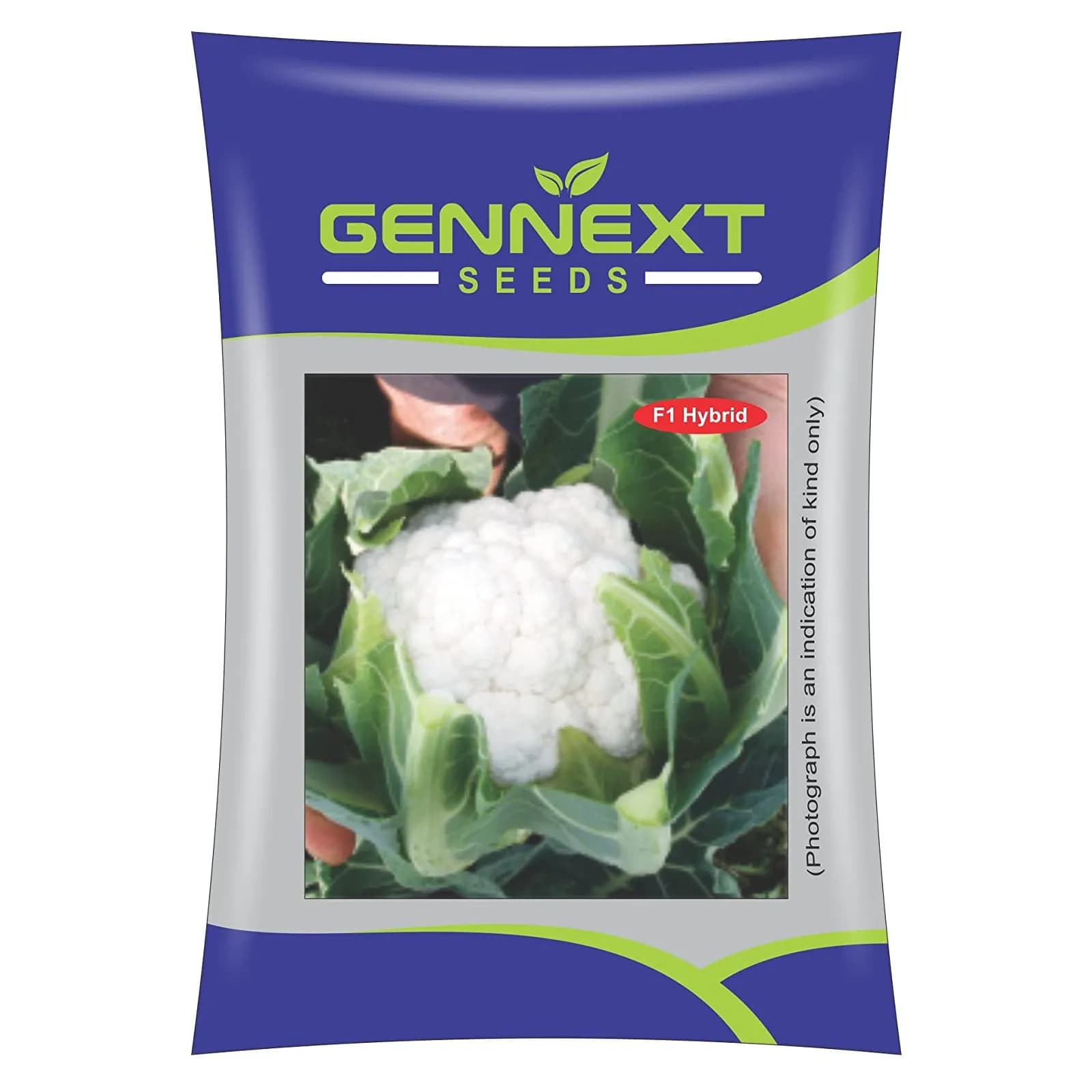 Gennext Snow White-60 F1 Hybrid Cauliflower Seeds, High Yield and Pure White Curd - Image 1