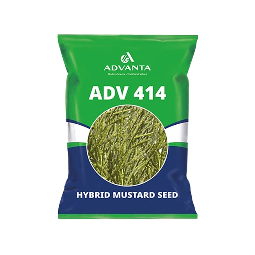 UPL Advanta ADV414 Hybrid Mustard Seeds , Indian Sarson Seeds, High Yield Potential - Image 1