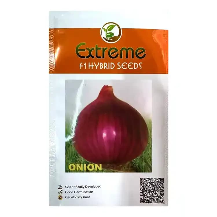 Extreme Big Boss Onion F1 Hybrid Seeds, Globe Shape, Pyaj Ke Beej, High Yield Variety
