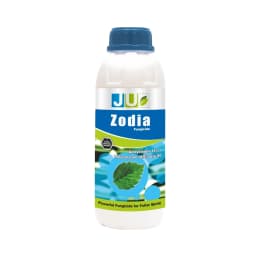 Ju Zodia Azoxystrobin 11% + Tebuconazole 18.3% SC, Dual Mode Of Action Fungicide 1