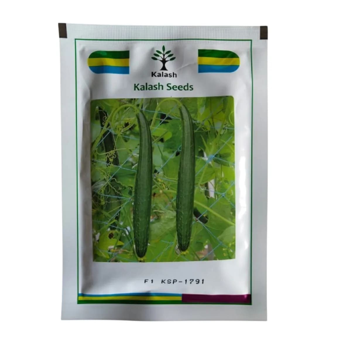 Kalash KSP 1791 SITARA F1 Hybrid Sponge Gourd Seeds, Early Harvesting With Uniform Growth - Image 1