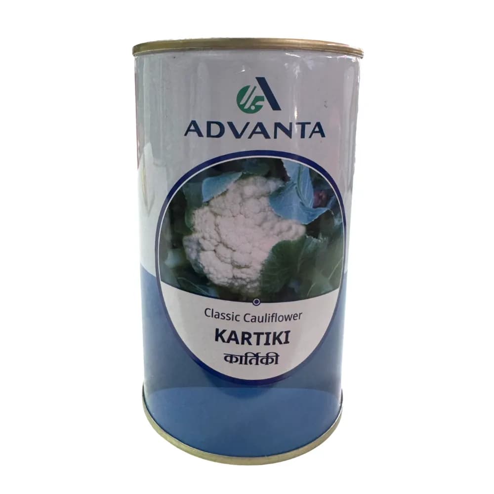 Advanta Kartiki Hybrid F1 Classic Cauliflower Seeds, High Yield & Dome White Curds - Image 1