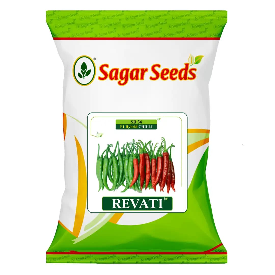 Sagar Revati F1 Hybrid Chilli Seeds, Dark Green And Glossy Red, Medium Pungency, High Yield - Image 1
