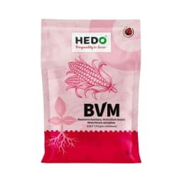 HEDO BVM (Beauveria bassiana + Verticillum Lecanii + Metarhizium Anisopliae) Powder For Agriculture, Garden & All Crops To Control Aphids 1