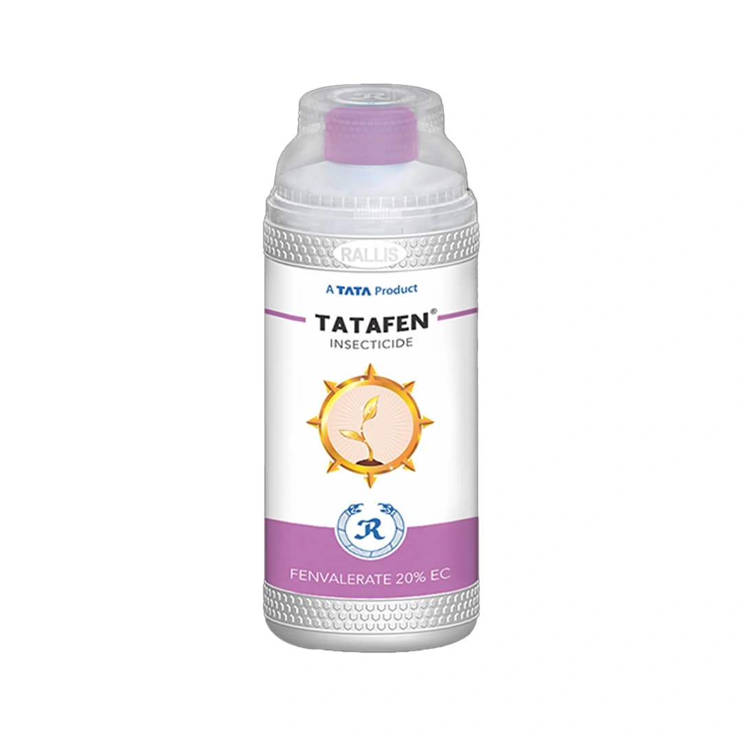 TATAFEN - Fenvalerate 20% EC Contact Synthetic Pyrethroid Insecticide For Controlling Termites