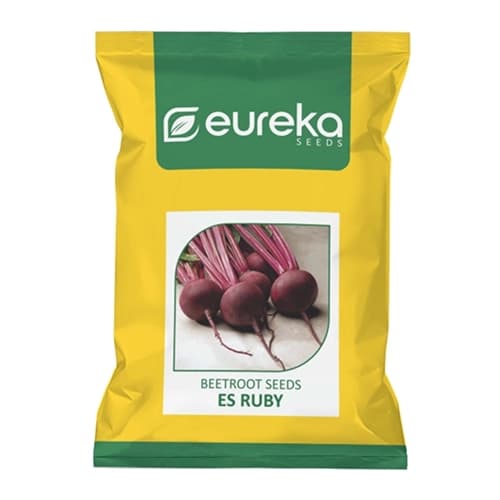 Eureka ES RUBY Improved Hybrid Beetroot Seeds, Deep Red, Globular Roots, Suitable For Rabi Season - Image 1