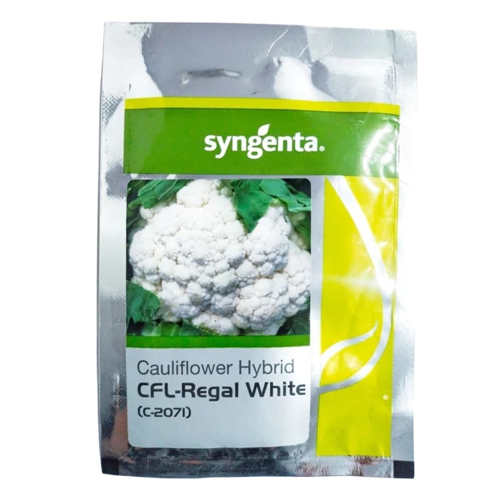 Syngenta Regal White (C-2071) Cauliflower Seeds - Gobhi Seeds - Image 1