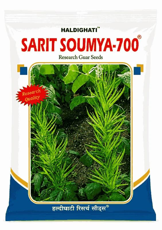 Haldighati Sarit Soumya 700 Research Guar Seeds - Image 1