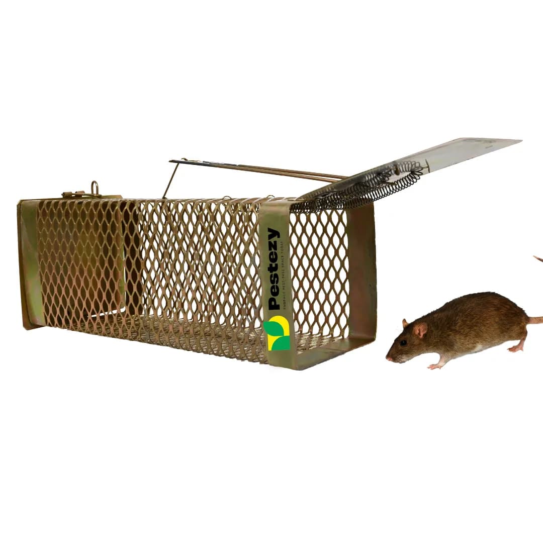 Pestezy Mouse Or Rat Trap Cage, Humane, Durable, Safe And Easy to Use, Cross Design, Allowing For Safe Release