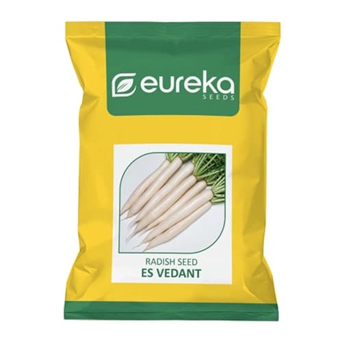Eureka ES VEDANT Improved Hybrid Radish Seeds, High Yield, Ivory White Roots - Image 1