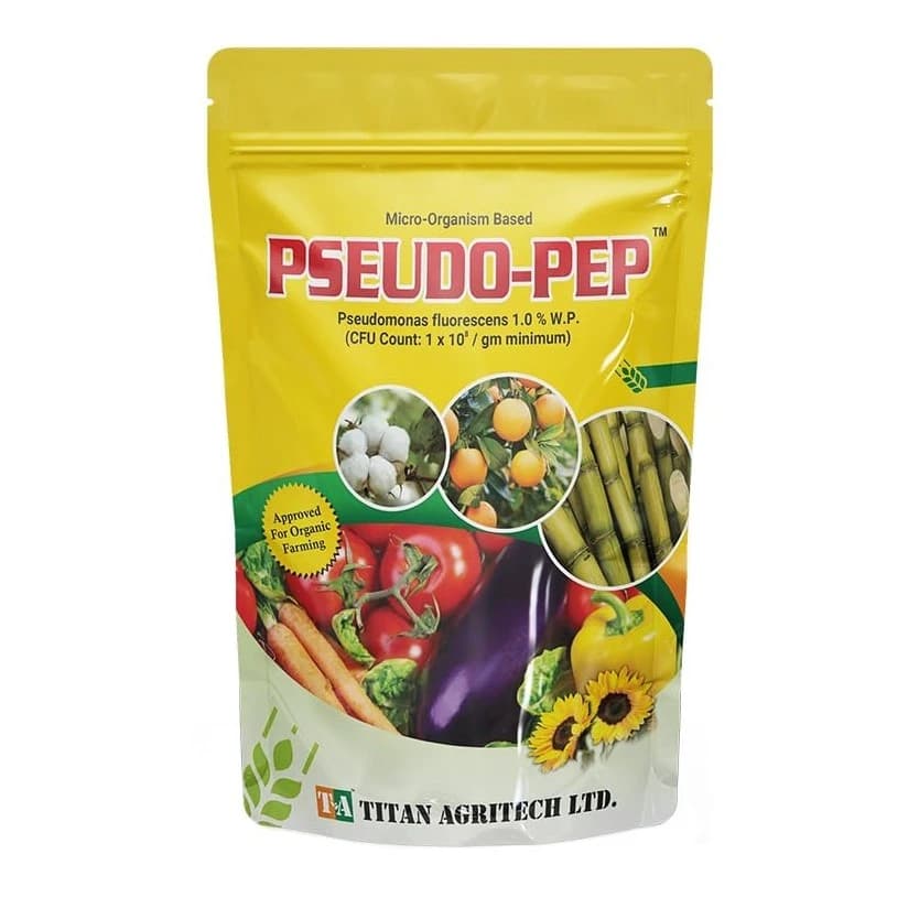टाइटन एग्रीटेक स्यूडो पेप स्यूडोमोनास फ्लोरोसेंस (पाउडर), पौधों और कृषि के लिए सूक्ष्मजीव, बाहरी पौधों के लिए कवकनाशी - Image 1