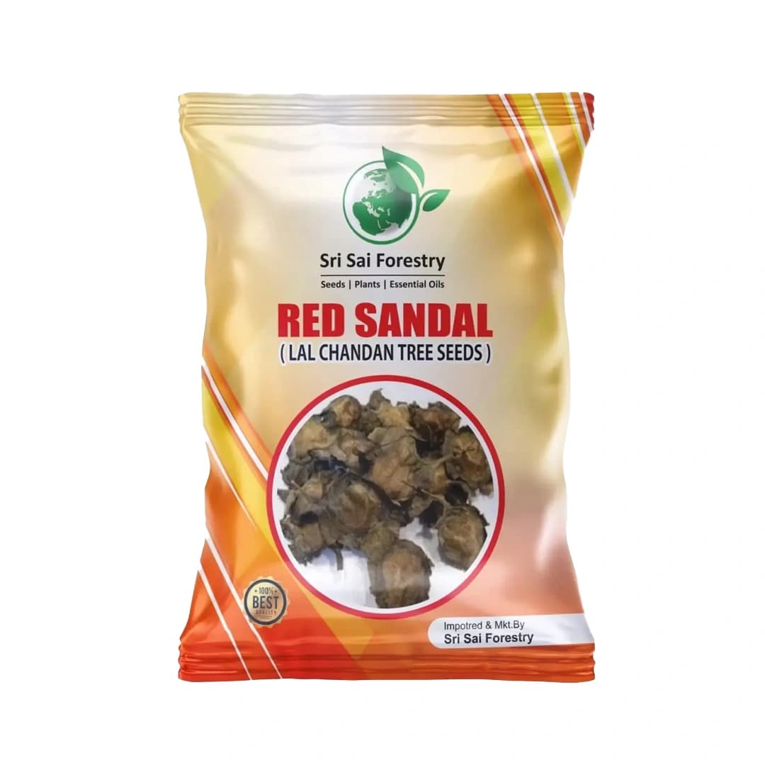 SRI SAI FORESTRY Red Sandal Seeds (Pterocarpus Santalinus , Lal Chandan or Raktachandan)