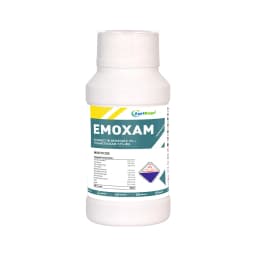 Emoxam - Emamectin Benzoate 3% + Thiamethoxam 12% WG, Powder Insecticide for Plants. 1