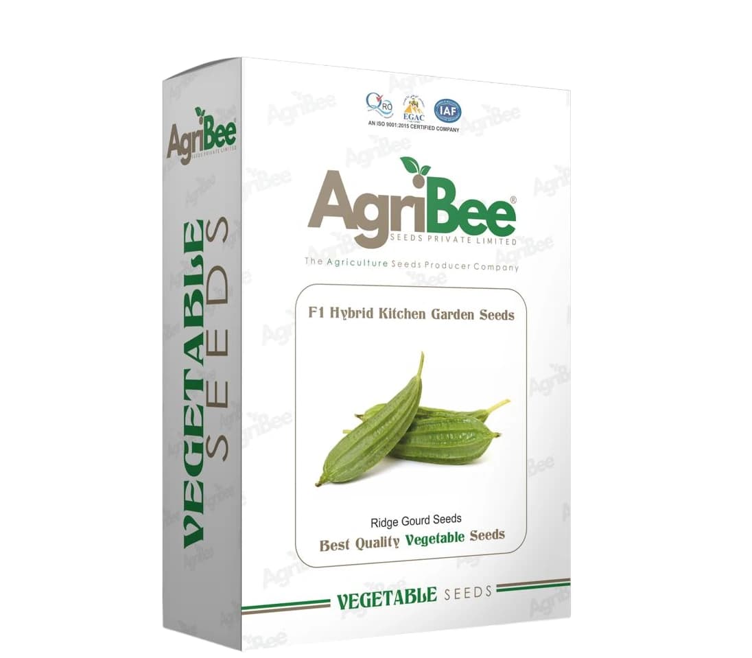 AgriBee F1 Hybrid Ridge Gourd Seeds Pack Of 10 Pouches For Kitchen Garden (5gm x 10) - Image 1