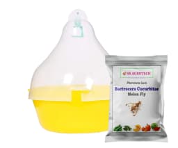 SK Agrotech Bactrocera Cucurbitae Mac Phll Trap With Melon Fly Lure - Effective Pest Control for Vegetables 1
