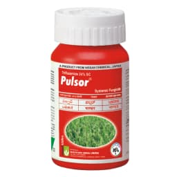  IIL Pulsor (Thifluzamide 24% Sc) Systemic Fungicide , Can Control Sheath Blight (Rhizoctonia Solani) Diseases In Rice  1