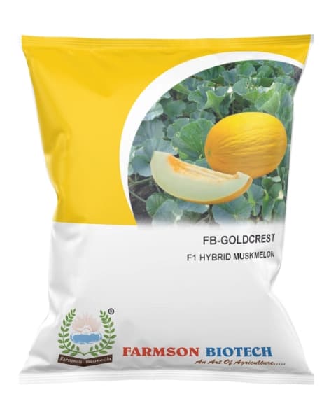 Farmson FB Goldcrest F1 Hybrid Muskmelon Seeds, Early Maturity, Oval shape  - Image 1