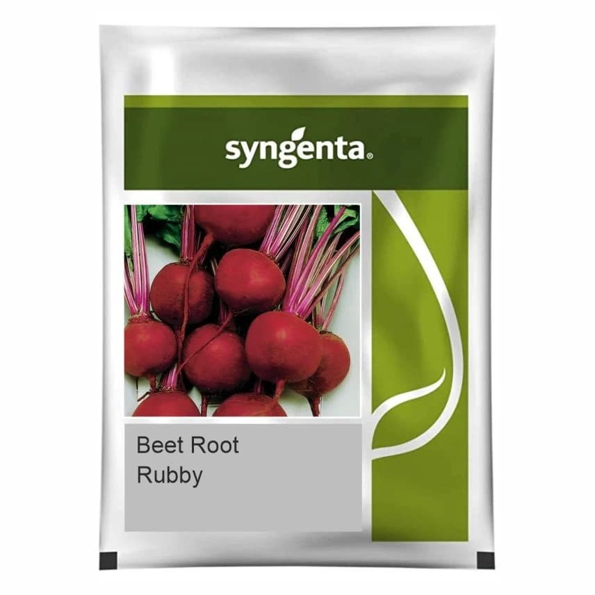 Syngenta Rubby F1 Hybrid Beetroot Seeds - Image 1