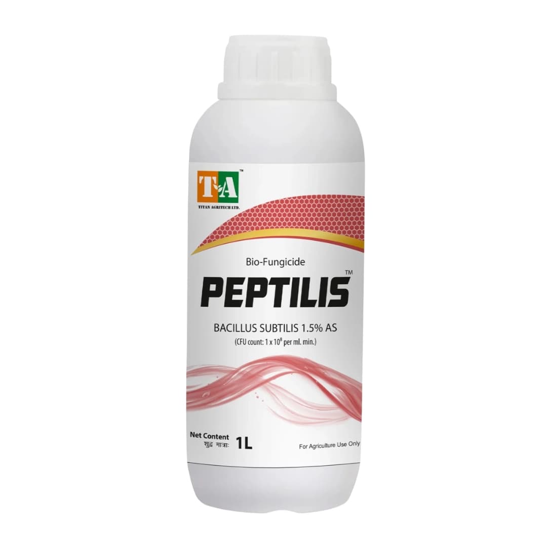 Titan Agritech Peptilis Bacillus Subtilis 1.5% AS Bio Fungicide, Promotes Nutrient Solubilization And Uptake - Image 1