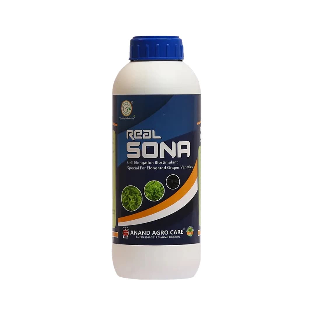 रियल सोना (अंगूर स्पेशल) अंगूर की लंबाई, गुच्छे, रंग और वजन में सुधार करता है - Image 1
