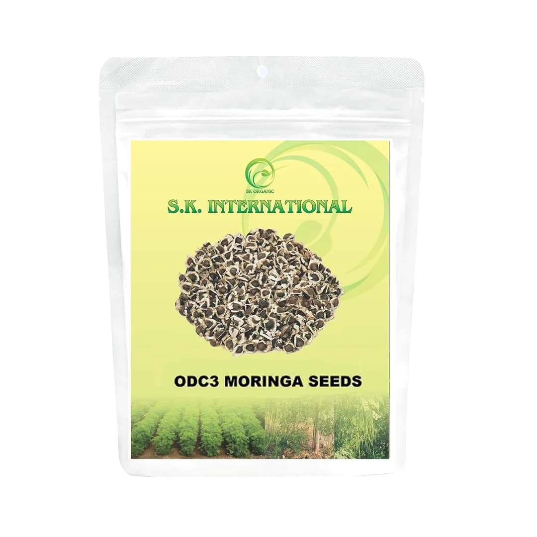 SK ORGANIC ODC3 Moringa Seeds, High Yielding Moringa Variety Seeds 100% Authentic