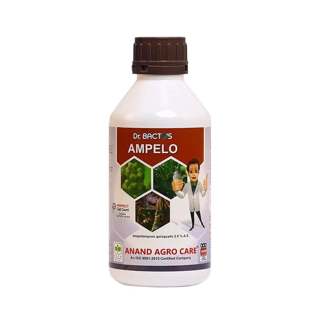 Dr. Bacto\'s Ampelo (Ampelomyces Quisqualis) Effective On Powdery Mildew of Fruits and Vegetable Crops