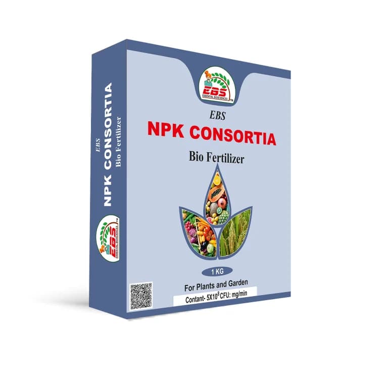 EBS NPK Consortia Bio Fertilizer, 5x10^8 Contains Bacteria that Fix Nitrogen and Phosphorus From the Atmosphere, Use for Plants & Garden - Image 4