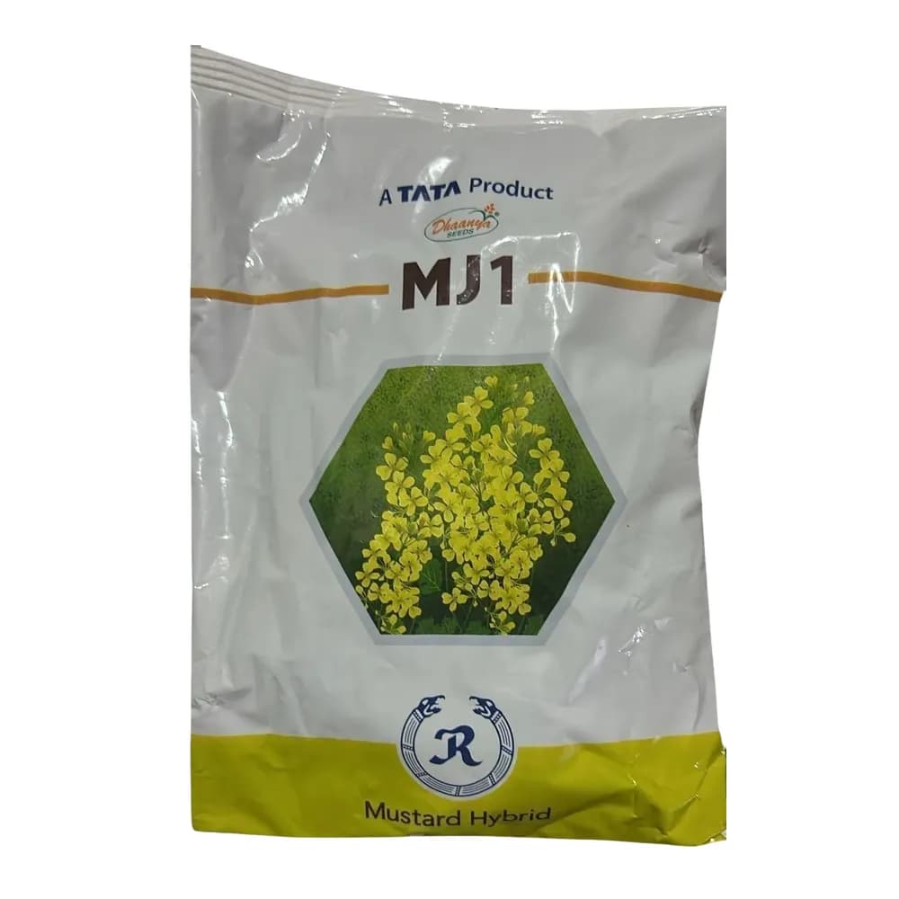 TATA Rallis MJ1 F1 Hybrid Mustard Seeds, Sarso Ke Beej, Long Duration Variety - Image 1