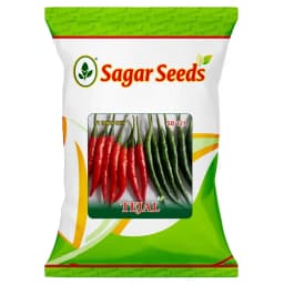 Sagar Tejal F1 Hybrid Chilli Seeds, Highly Pungent, Dual Purpose, Early Maturity, High Yield Variety 1
