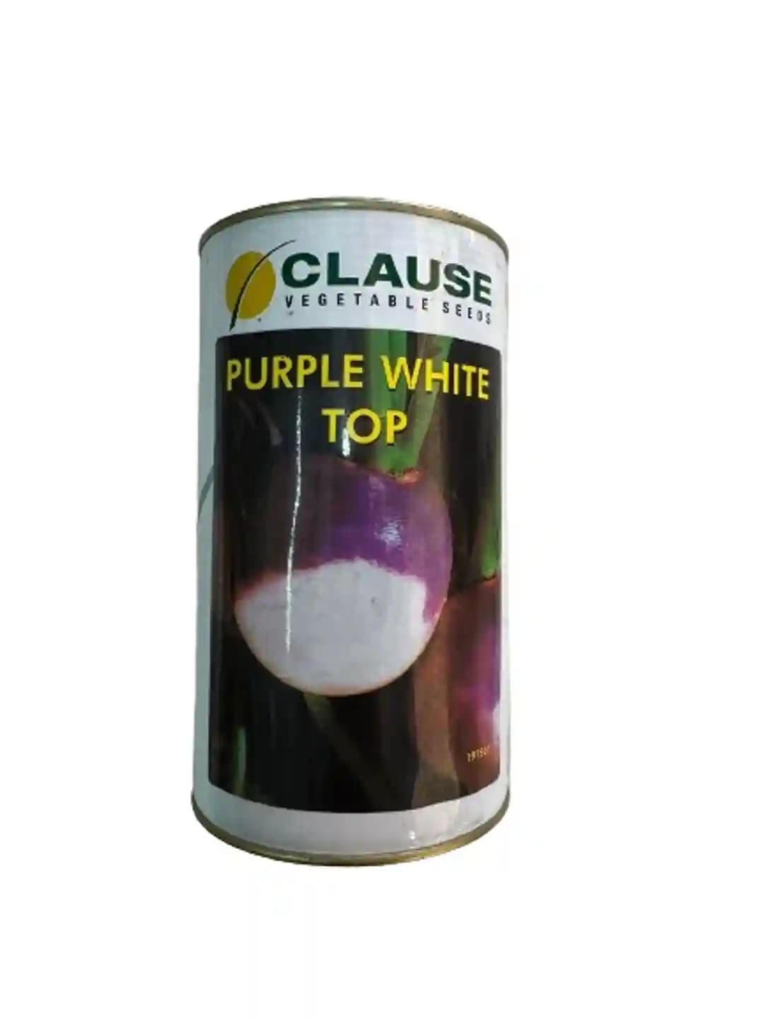 HM Clause Purple White Top Turnip Vegetable Seeds, Uniform Root Size And High Yield - Image 1
