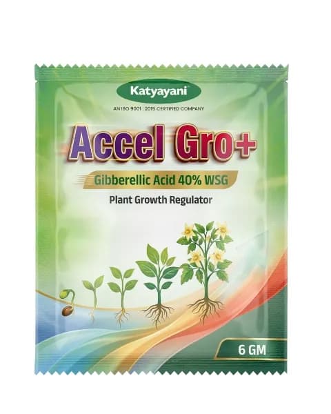 Katyayani Accel Gro Plus Gibberellic Acid 40% WSG, Increase Flower and Fruit Setting - Image 1