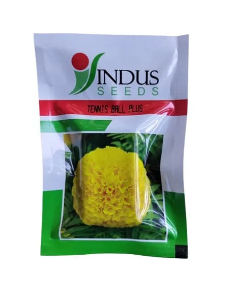 Indus Tennis Ball Plus F1 Hybrid Marigold Seeds 1000 SD + 300 SD Free - Image 1