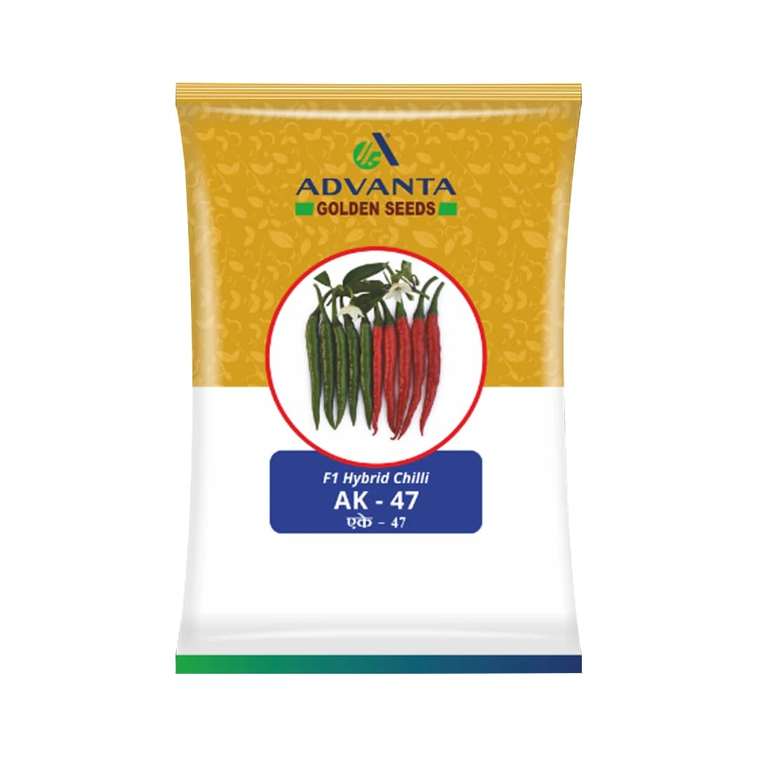 Advanta AK-47 Chilli (Mirchi) Seeds - Image 1