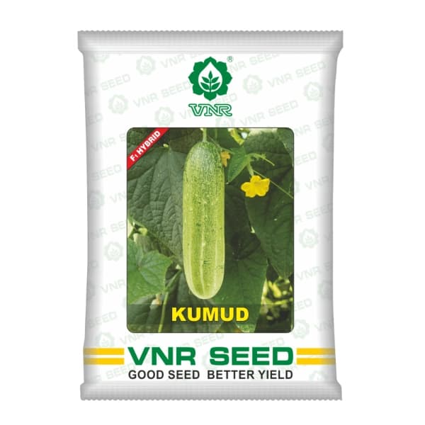 VNR Kumud Cucumber (Kheera) Seeds - Image 1