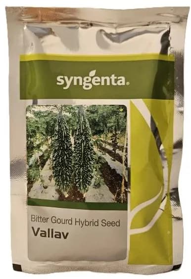 Syngenta Vallav Hybrid Bitter Gourd Seeds - Image 1