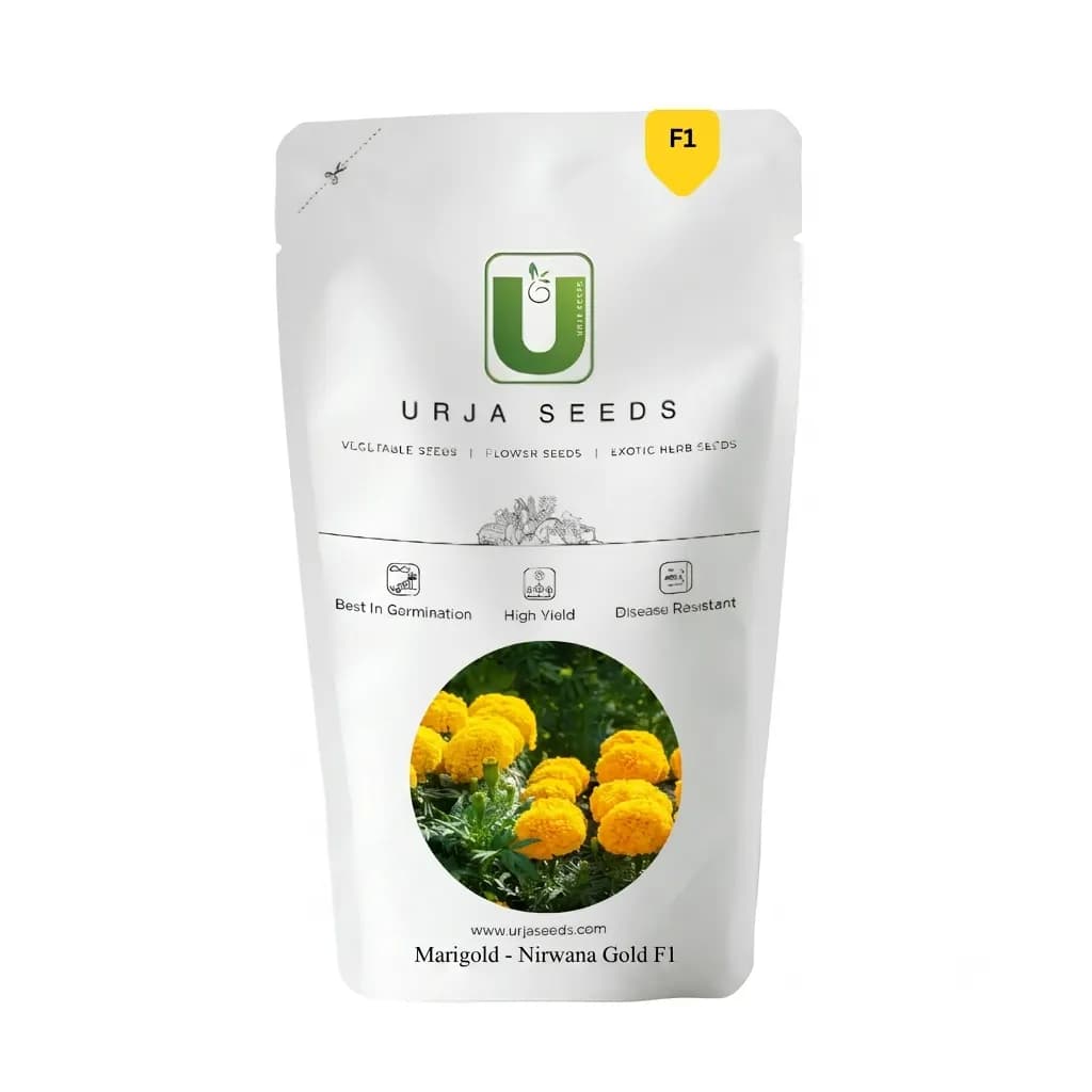 Urja Marigold-Nirwana Gold F1 (Marigold Seeds) - 15 Seeds Pack - Image 1