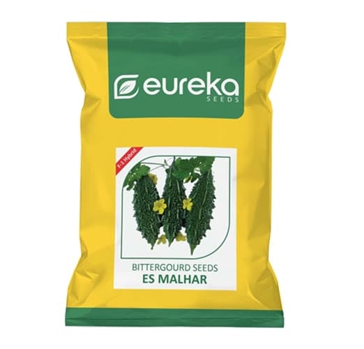 Eureka ES MALHAR F1 Hybrid Bittergourd Seeds, High Yield, Dark Green Fruits - Image 1