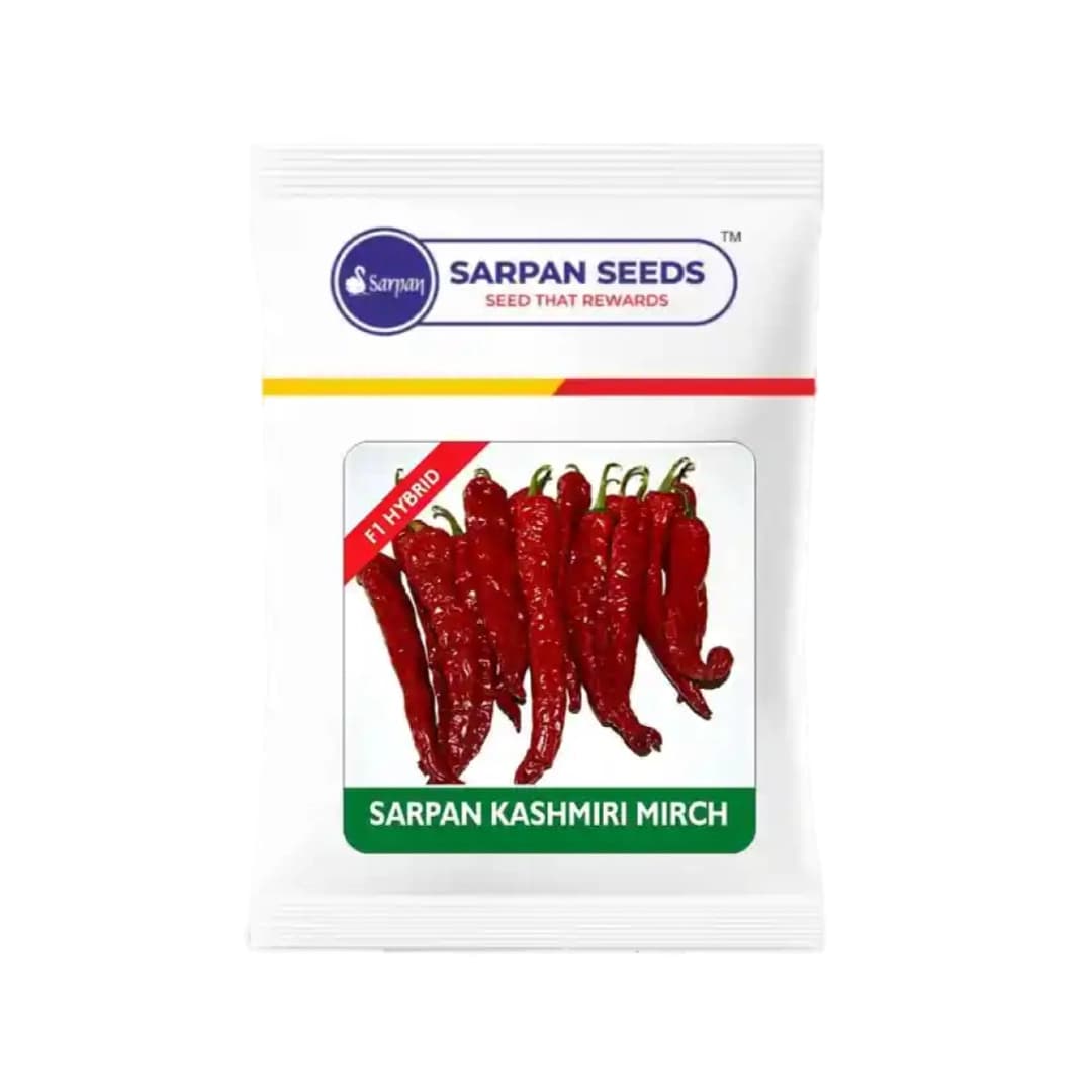 Sarpan Hybrid F1 Kashmiri Mirch Seeds , Kashmiri Mirch ke Beej, Best Quality. - Image 1