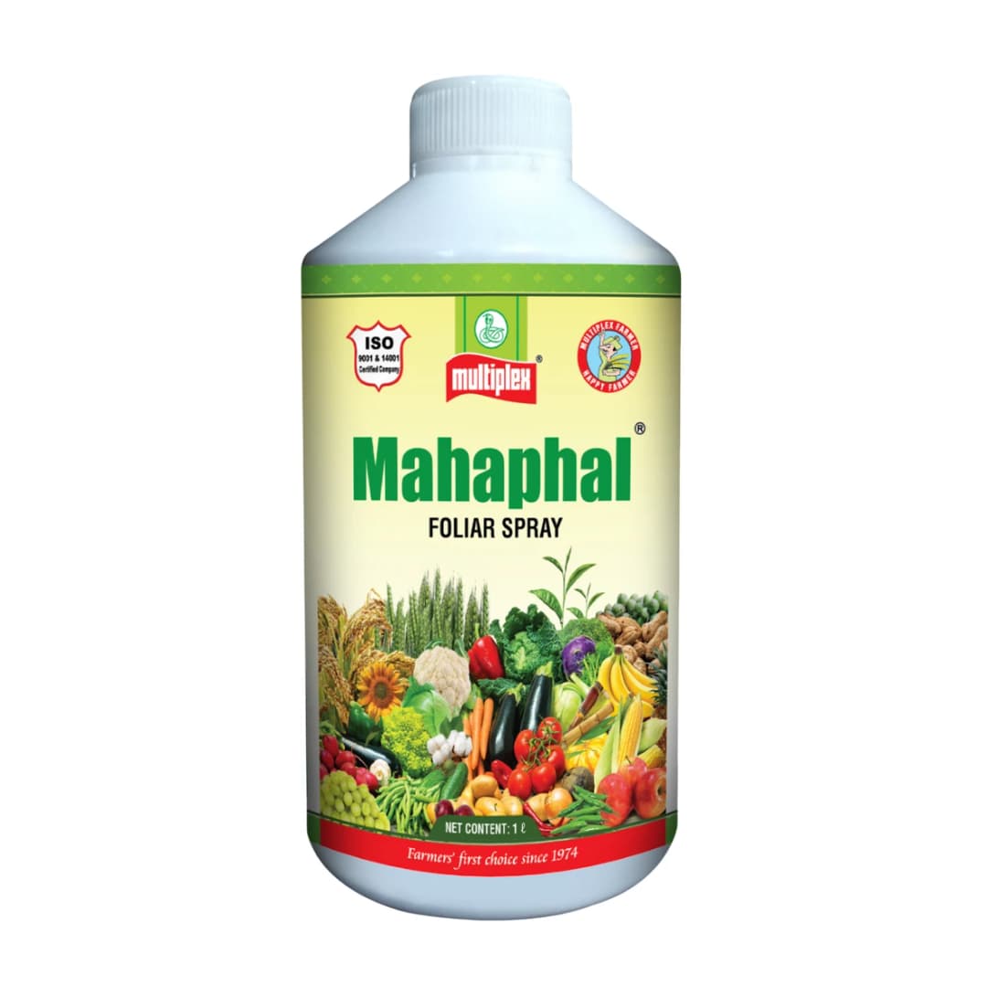 Multiplex Mahaphal Bio Stimulant, Boosts Flowering, Fruit Setting And Disease Resistance