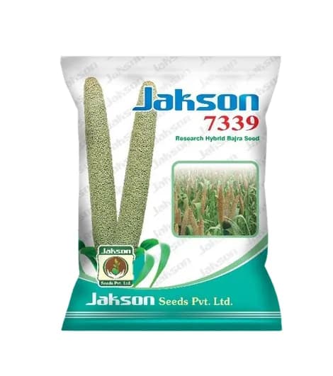JAKSON 7339 Research Hybrid Bajra Seeds High Yield Pearl Millet - Image 1