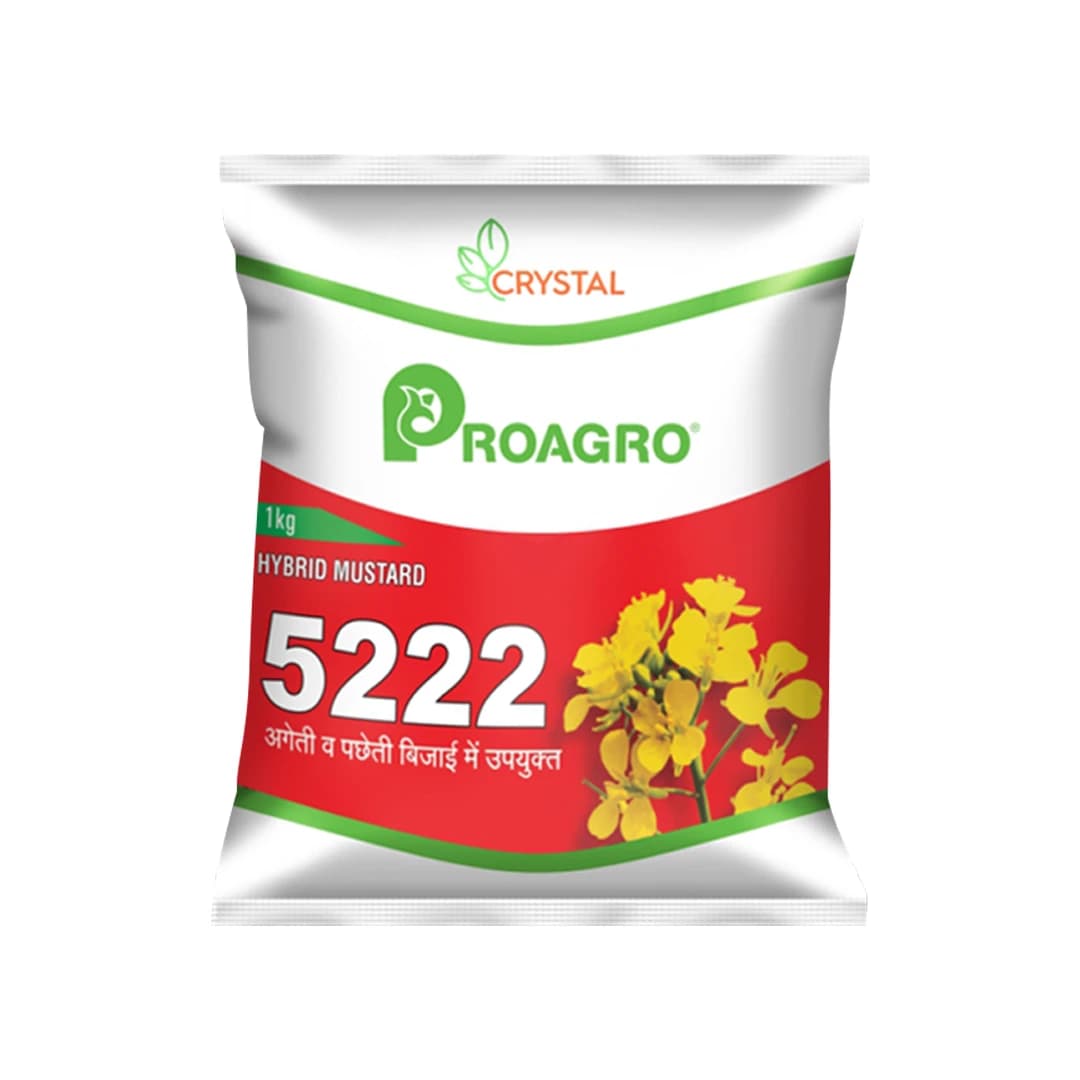 Crystal Hybrid Mustard Seeds 5222 - Long Duration Seeds Variety, Sarso Ke Beej - Image 1